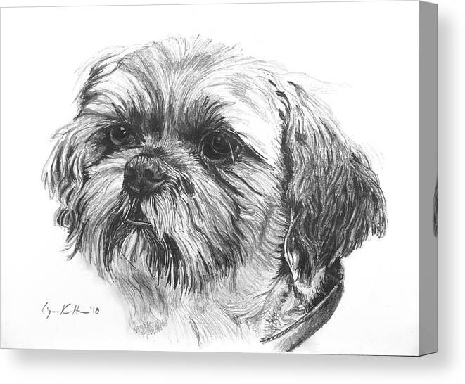 Dog Canvas Print featuring the drawing Beloved Pet Dog by Lynn Hansen