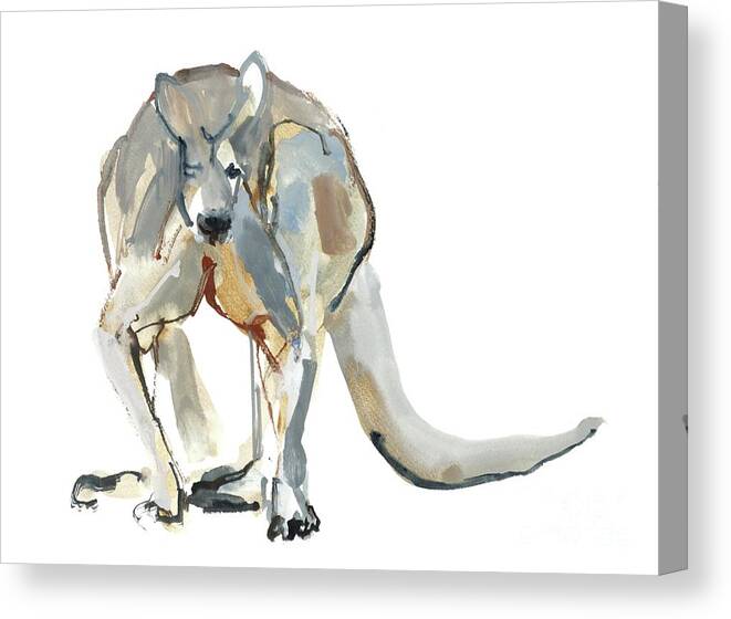 Kangaroo Canvas Print featuring the painting Boxer Red Kangaroo, 2012 Watercolor And Pigment On Paper by Mark Adlington