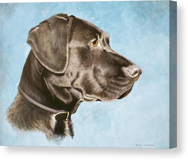 Profile Of A Black Lab On A Blue Background With Collar
Dogs Canvas Print featuring the painting Chocolate Lab by Rusty Frentner