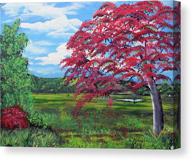 Flamboyan Tree Canvas Print featuring the painting Colorful and Peaceful by Luis F Rodriguez