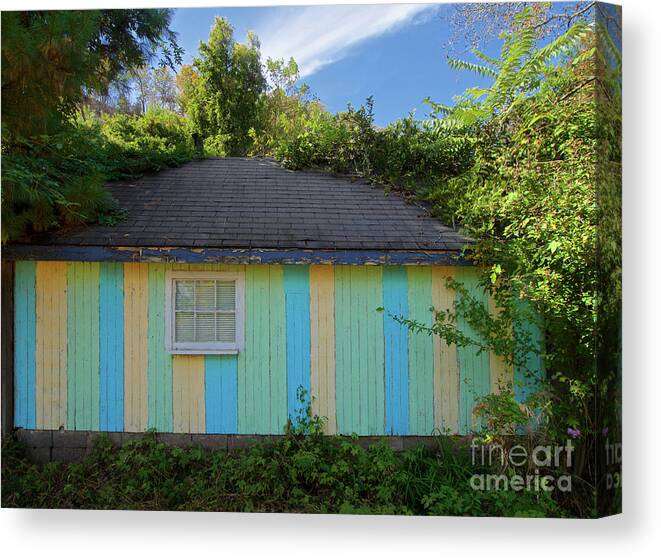 Hut Canvas Print featuring the photograph Colorful Building In The Bushes by Mark Miller