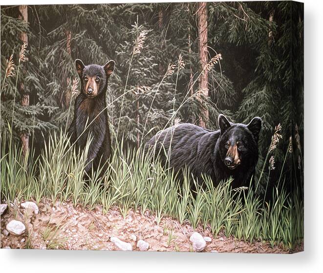 A Black Bear Cubs Walk Along The Forest Edge. Canvas Print featuring the painting Curious Cub by Ron Parker