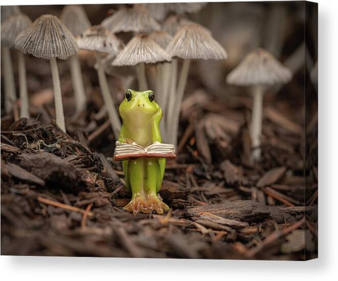 Frog Canvas Print featuring the photograph Daydreaming Among The Toadstools by Arthur Oleary