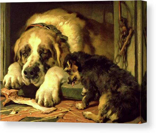 Grooming Canvas Print featuring the mixed media Dogs - Doubtful Crumbs by Edwin Landseer