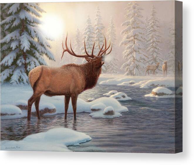 Elk Canvas Print featuring the painting Elk Bugleing by Richard Burns