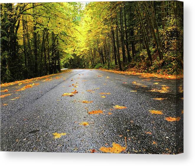 The Bright Yellows On The Fall Drive Were Stunning! Canvas Print featuring the photograph Fall Drive by Brian Eberly