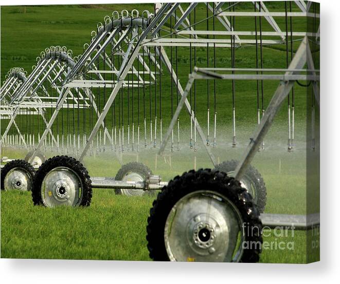 Montana Canvas Print featuring the photograph Farm Irrigation by Terri Brewster