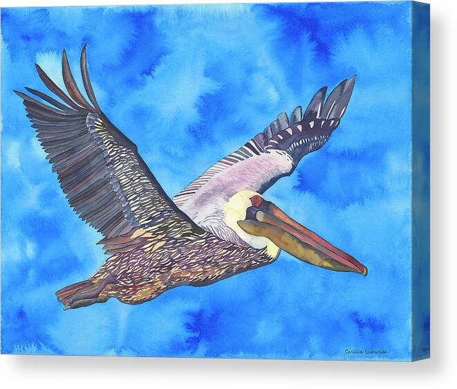 Flying Pelican Canvas Print featuring the painting Flying Pelican by Carissa Luminess
