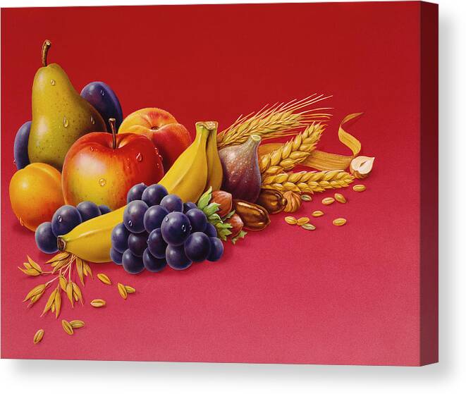 Apple Canvas Print featuring the painting Fruit by Harro Maass