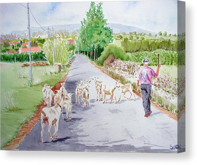 Goatherd Canvas Print featuring the painting Goatherd by Sandie Croft