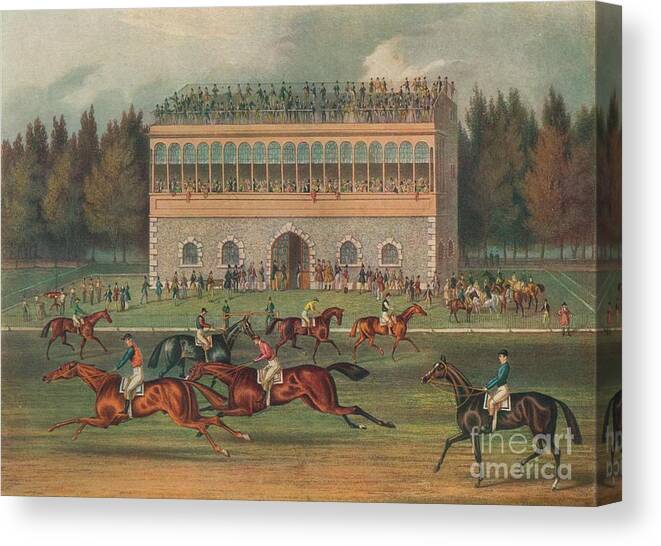 Horse Canvas Print featuring the drawing Goodwood Grand Stand Preparing To Start by Print Collector
