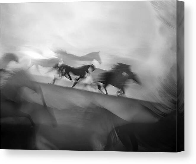 Horses Canvas Print featuring the photograph Impressive Gallop by Milan Malovrh