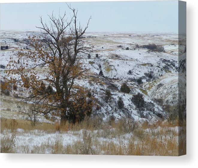 North Dakota Canvas Print featuring the photograph January in the Badlands by Cris Fulton