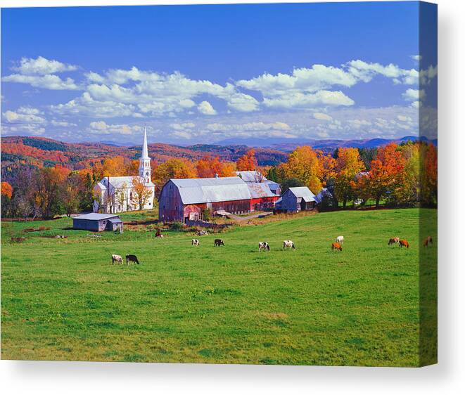 Scenics Canvas Print featuring the photograph Lush Autumn Countryside In Vermont With by Ron thomas