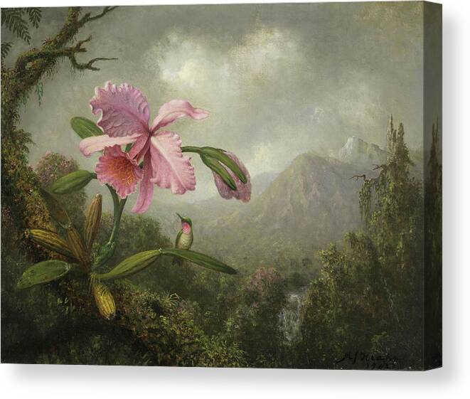 Canvas Canvas Print featuring the painting Martin Johnson Heade -Lumberville, 1819-St. Augustine, 1904-. Orchid and Hummingbird near a Water... by Martin Johnson Heade -1819-1904-