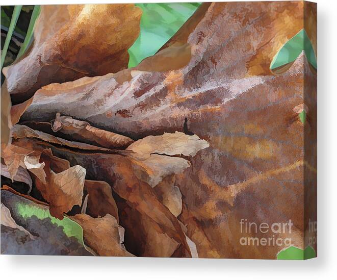 Abstract Canvas Print featuring the photograph Meditating among Leaves by Roslyn Wilkins