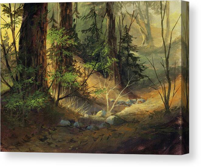 Michael Humphries Canvas Print featuring the painting Morning Redwoods by Michael Humphries
