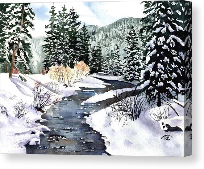 Colorado Canvas Print featuring the painting Mountain Stream by Tammy Crawford