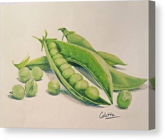 Veggies Canvas Print featuring the drawing Peas in a pod by Colette Lee