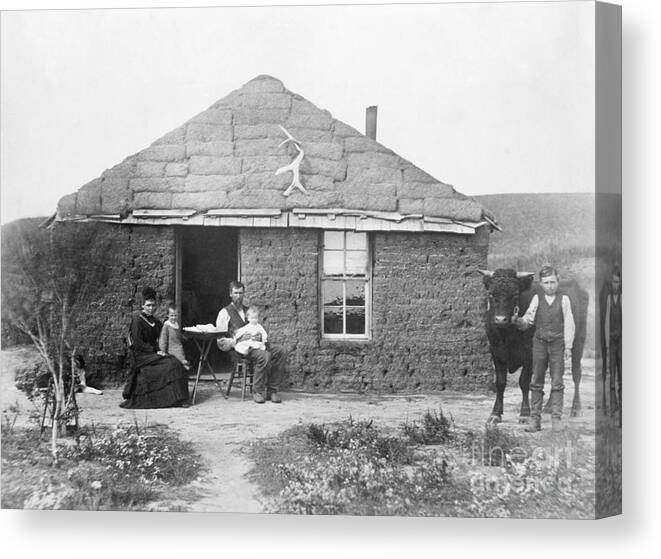 Sod Field Canvas Print featuring the photograph Pioneer Family Outside Sod House by Bettmann