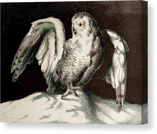 Snowy Owl Canvas Print featuring the drawing Snowy Owl by Hans Egil Saele