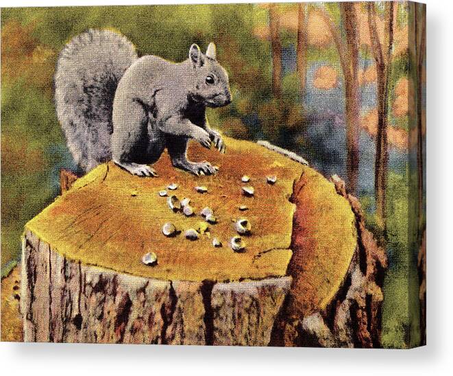 Animal Canvas Print featuring the drawing Squirrel on Tree Stump by CSA Images