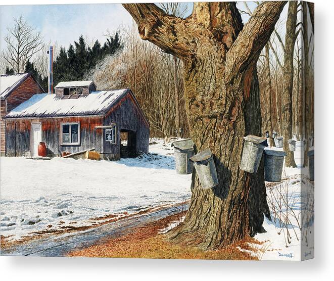 Sugarhouse Canvas Print featuring the painting Sugarhouse Near Becket by Michael Davidoff