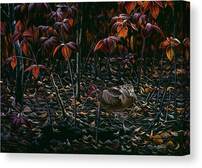Woodcock Walking Along The Leaves Canvas Print featuring the painting The Woodcocks World by Wilhelm Goebel