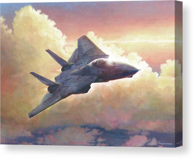 Aviation Canvas Print featuring the painting Tomcat by Douglas Castleman