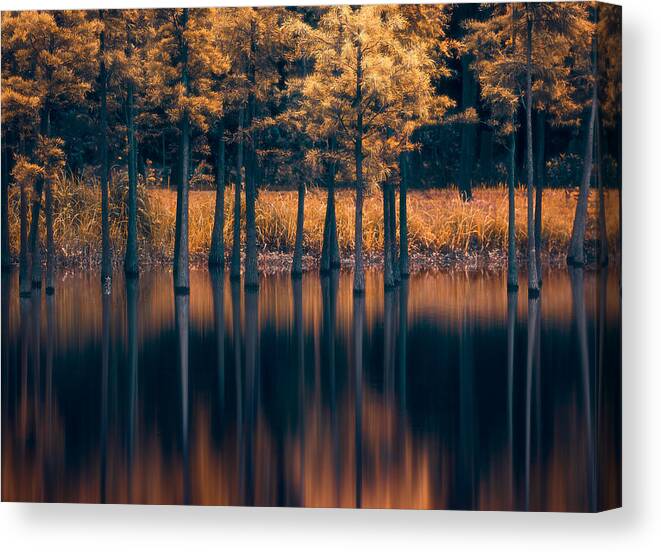 Tree Canvas Print featuring the photograph Trees In The Water by Majid Behzad