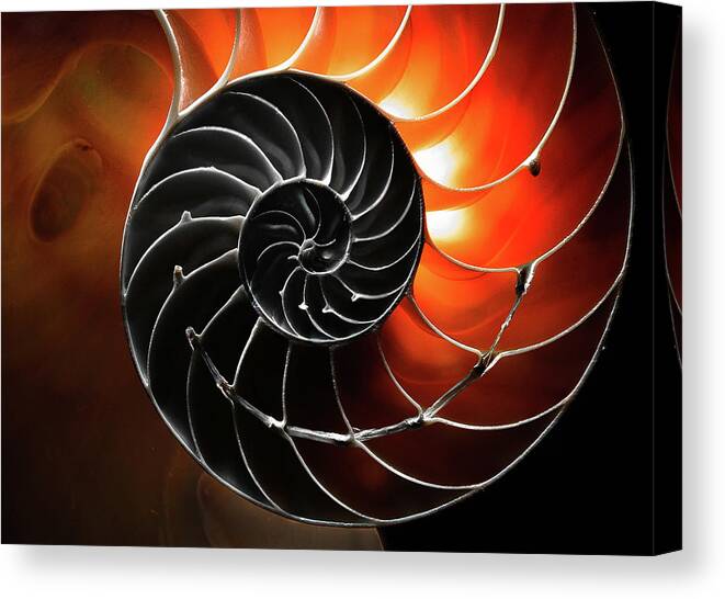 Closeup Canvas Print featuring the photograph Twirl by Jim Painter