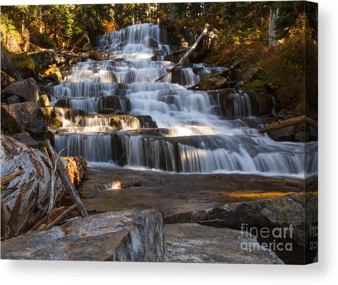 Forest Canvas Print featuring the photograph Waterfalls Flowing Through The Forest by Fremme