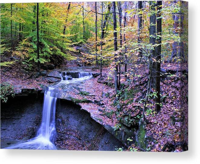  Canvas Print featuring the photograph Blue Hen Falls #1 by Brad Nellis