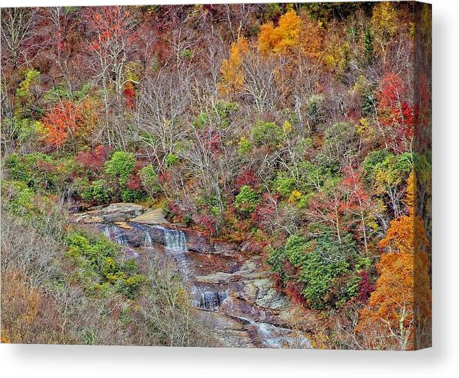 Autumn Canvas Print featuring the photograph Graveyard Fields Lower Falls #1 by Allen Nice-Webb