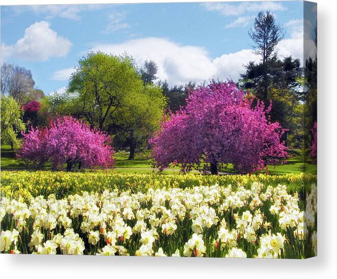 Spring Canvas Print featuring the photograph Spring Fever by Jessica Jenney