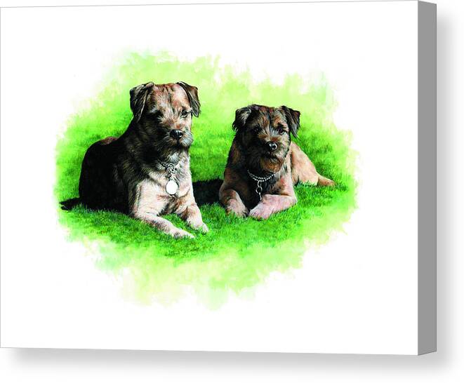 Commissioned Watercolour Art By Patrice Canvas Print featuring the painting Two Loved Border Terriers by Patrice Clarkson