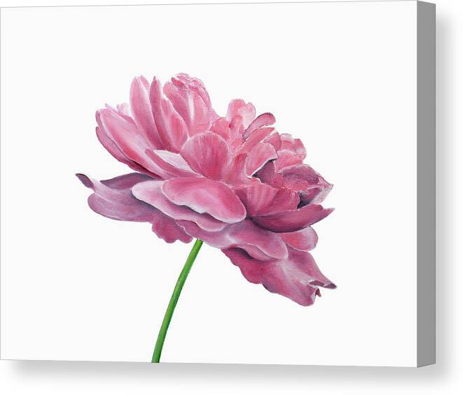 Rose Canvas Print featuring the painting Pink Rose II by Elizabeth Lock