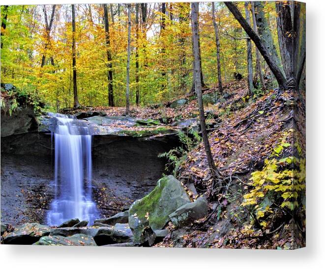  Canvas Print featuring the photograph Blue Hen Falls by Brad Nellis