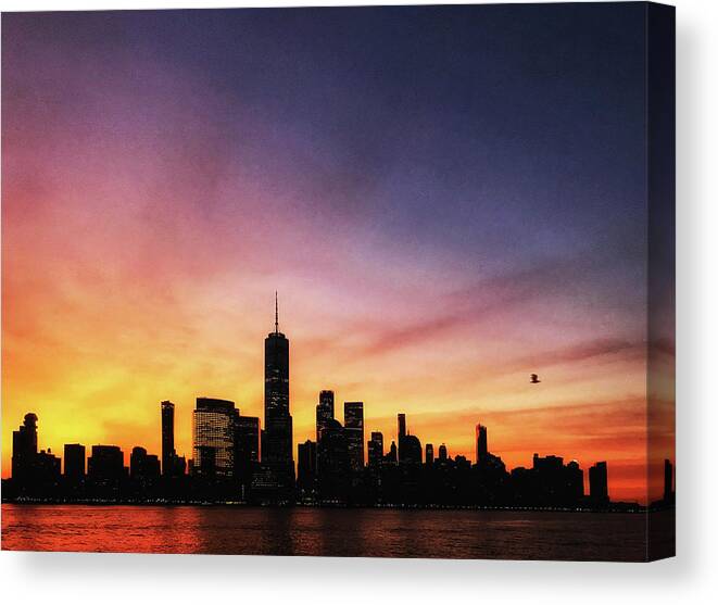 Bird Canvas Print featuring the photograph NYC Sunrise #4 by Alina Oswald