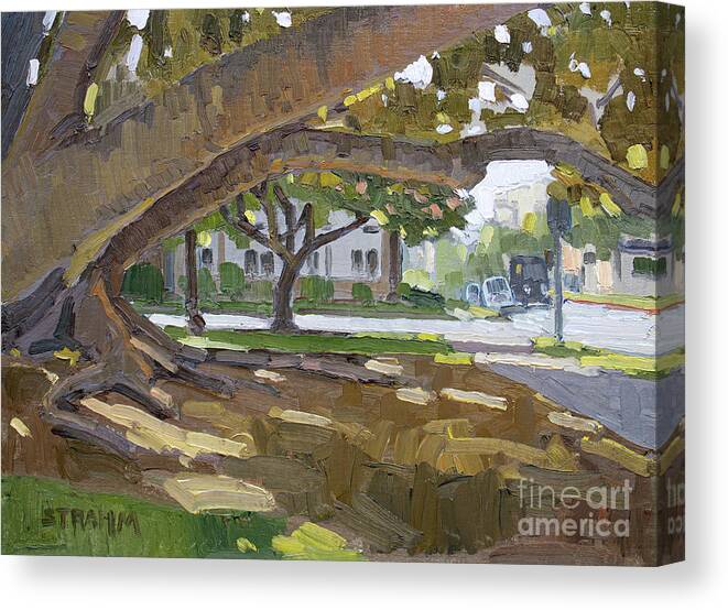 Tree Canvas Print featuring the painting 6th and Laurel - Balboa Park, San Diego, California by Paul Strahm