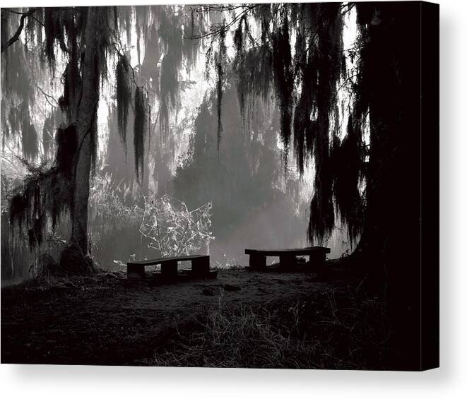 Fog Canvas Print featuring the photograph A Place Of Solitude Black And White by Christopher Mercer
