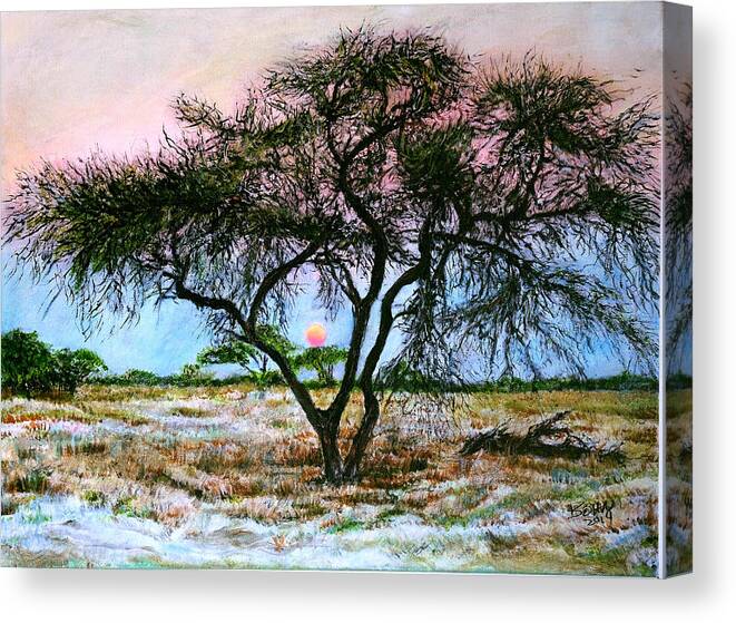 African Savanna Savannah Plain Acacia Tree Medicine Prehistoric Tree Of Life Sunset Canvas Print featuring the painting African Acacia Tree by John Bohn