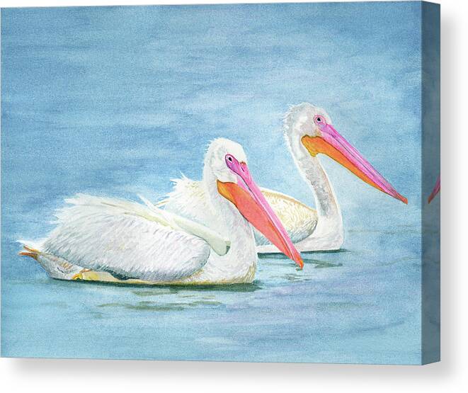 American White Pelicans Canvas Print featuring the painting American White Pelicans by Deborah League