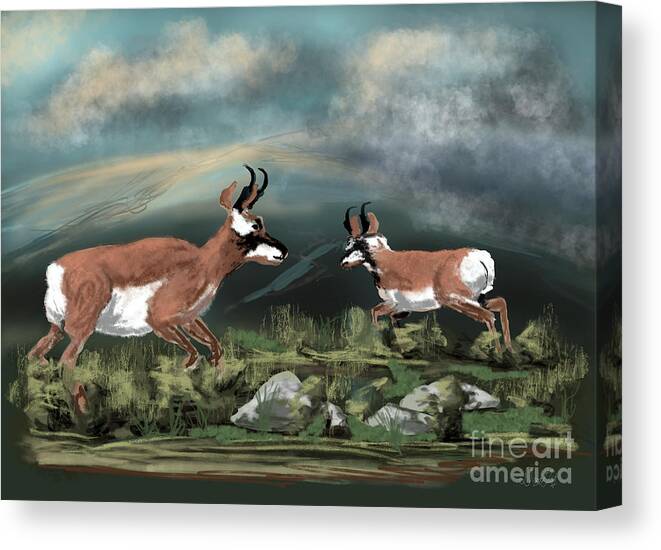 Pronghorn Antelope Canvas Print featuring the digital art Antelope by Doug Gist
