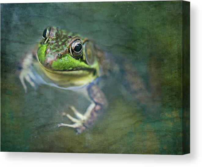 Bullfrog Canvas Print featuring the photograph Bill the Bullfrog by Jill Love