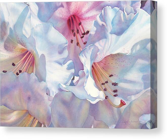 Watercolor Painting Canvas Print featuring the painting Billowing by Sandy Haight