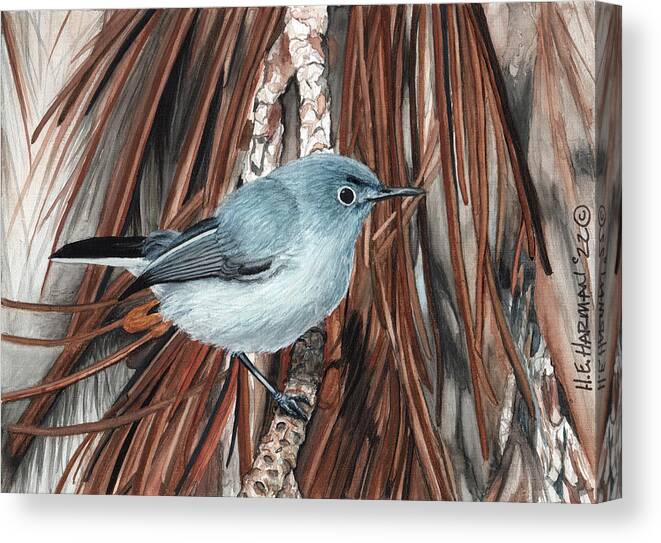 Gnatcatcher Canvas Print featuring the painting Blue-Grey Gnatcatcher by Heather E Harman