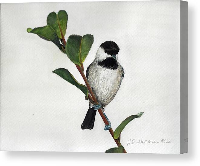 Branch Canvas Print featuring the painting Carolina Chickadee by Heather E Harman