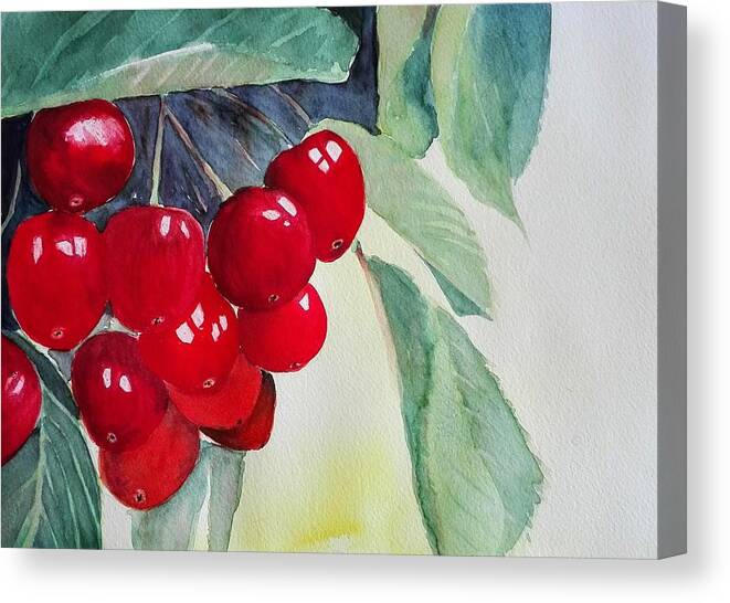 Fruit Canvas Print featuring the painting Cherries by Sandie Croft
