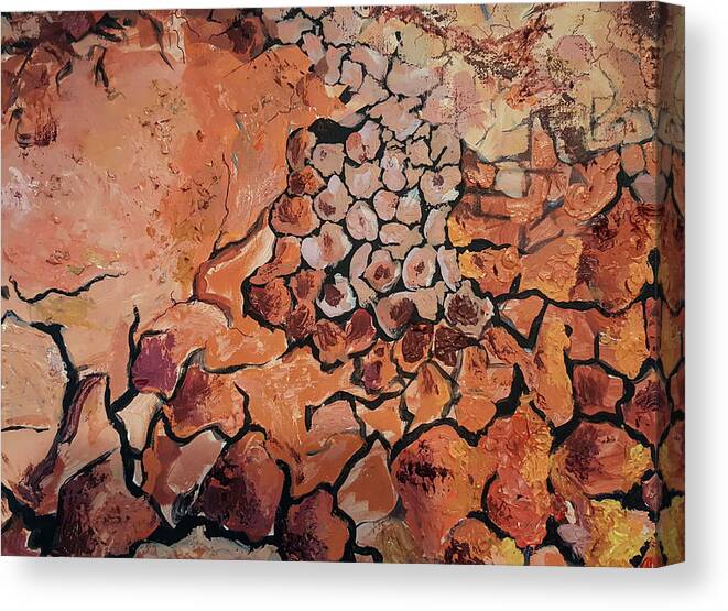 Environmental Artists Canvas Print featuring the mixed media Cracked Earth by Rowan Lyford